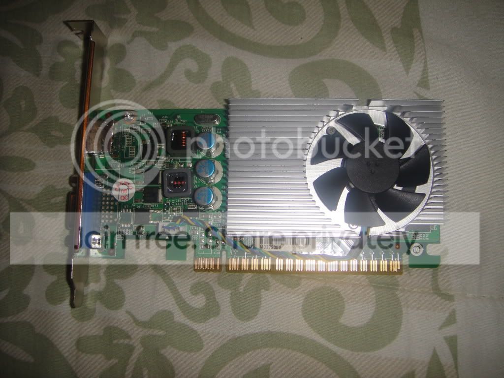 DSC08074.jpg