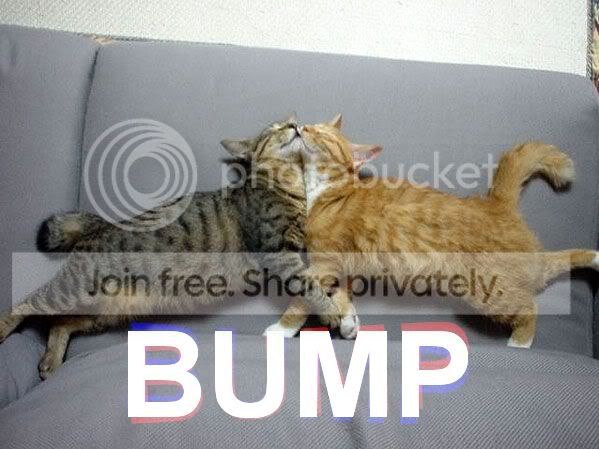 bumpu.jpg