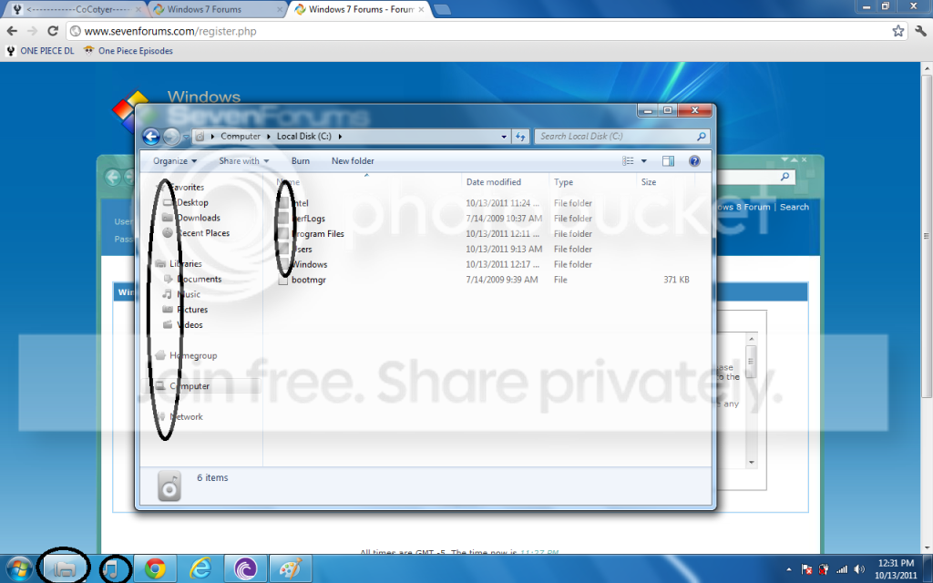pic1.png