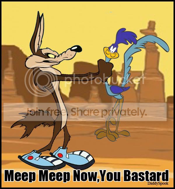 Roadrunner-MeepNow-253.jpg