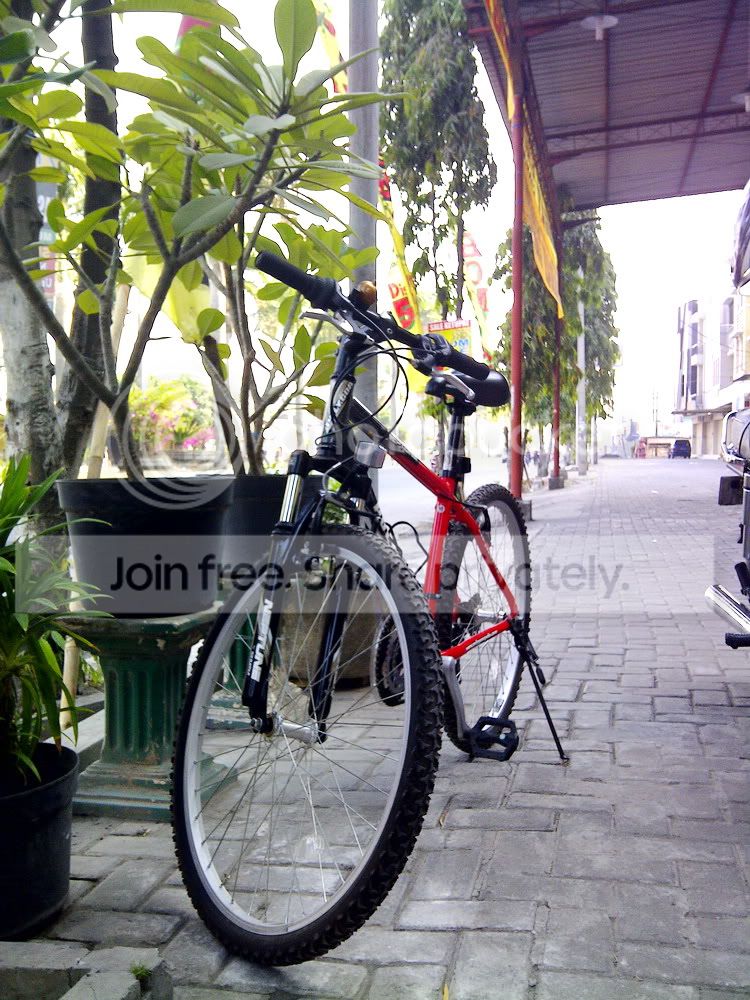 Morningbiking.jpg