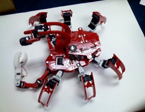 Chiara_Robot_3-480x373.jpg