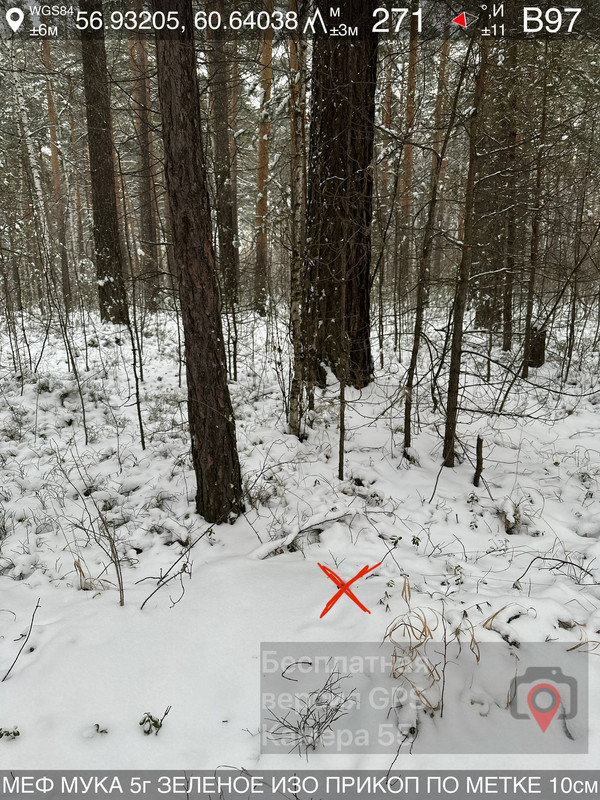 Image4.jpg