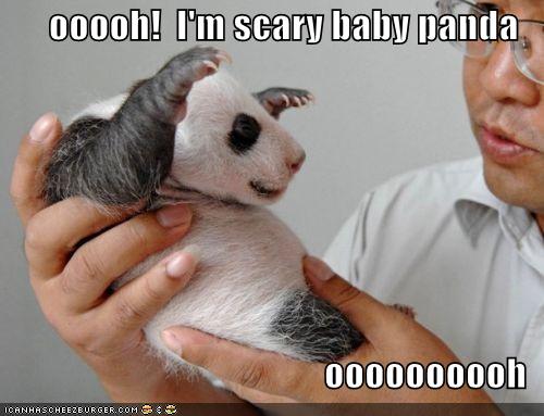 funny-pictures-scary-baby-panda.jpg