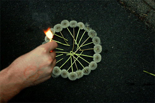 tumblr_lk8at5N6kY1qewjf3o1_500.gif