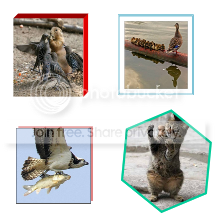 2010-02-24_1452.png