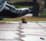 Snailsquish.gif