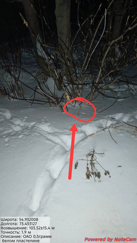 2012_11_08_299.jpg