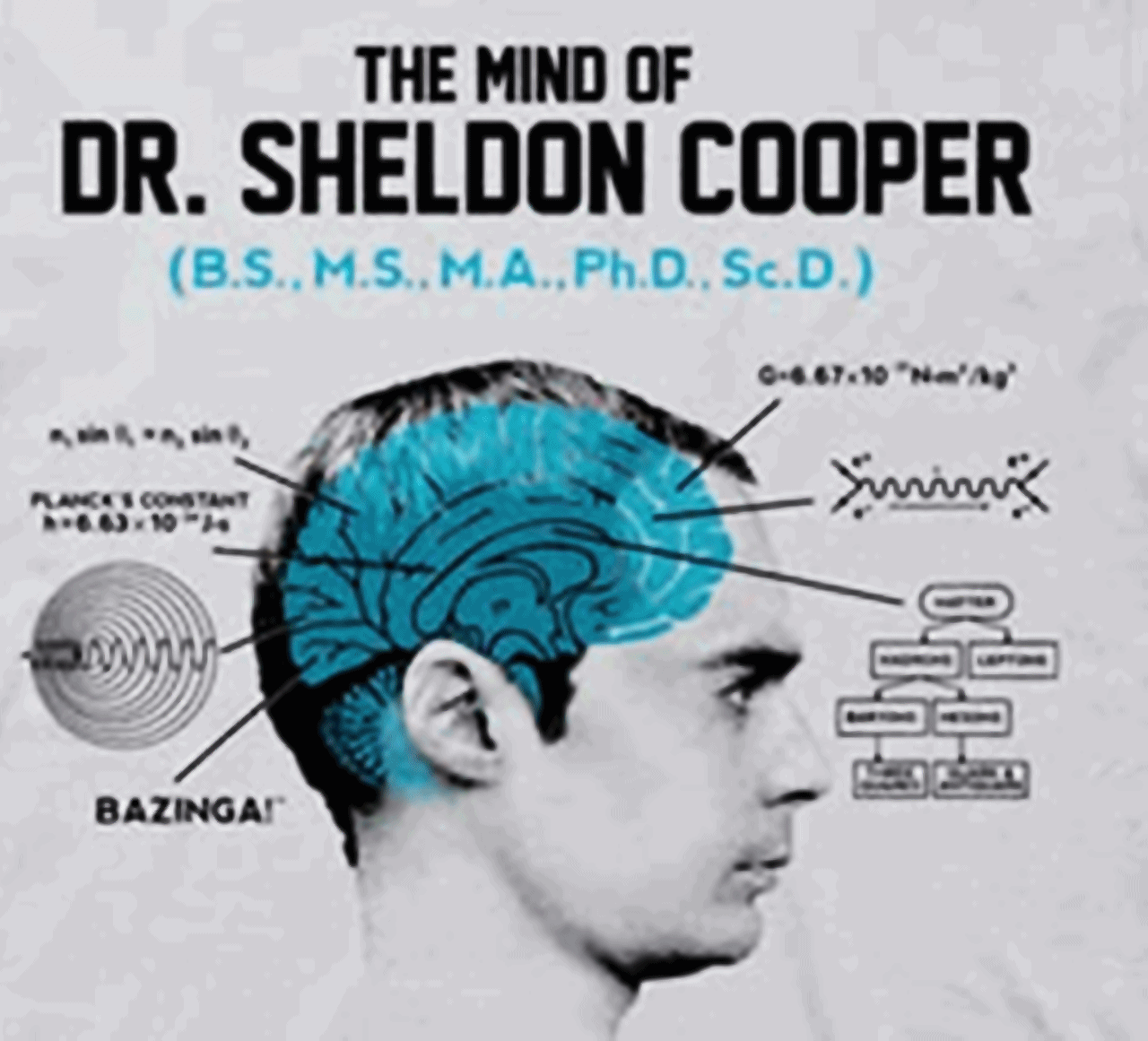 tbbt-the-big-bang-theory-32625476-1280-1161.gif