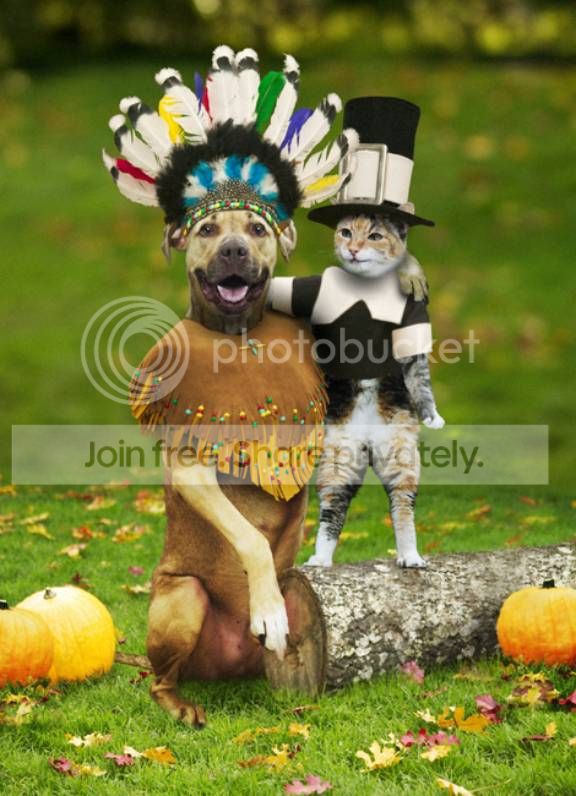 Happy_Thanksgiving.jpg