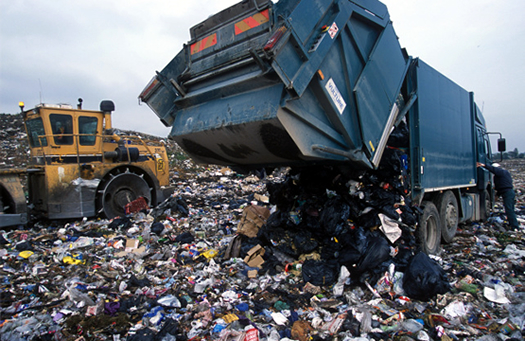 landfill3.jpg