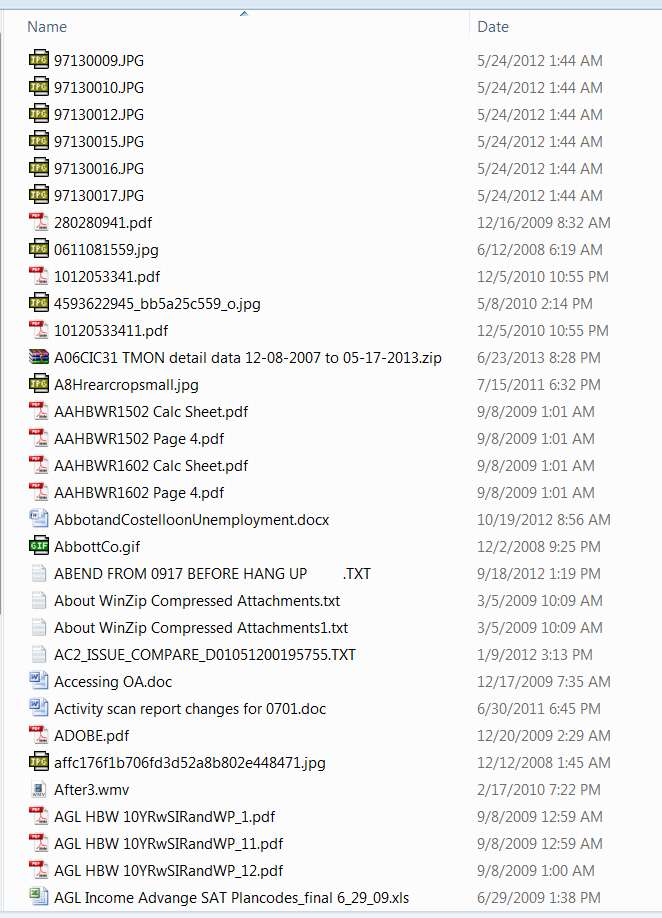 czr1.jpg