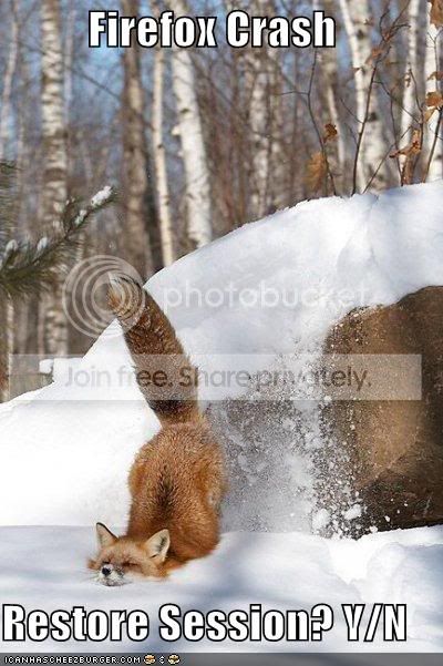 firefox2.jpg