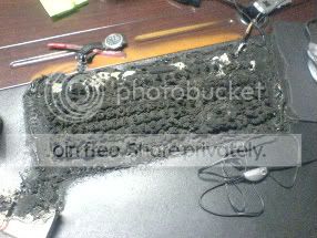 dsc00128x2pd.jpg