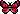 butterflytwo-Copy-Copy.gif