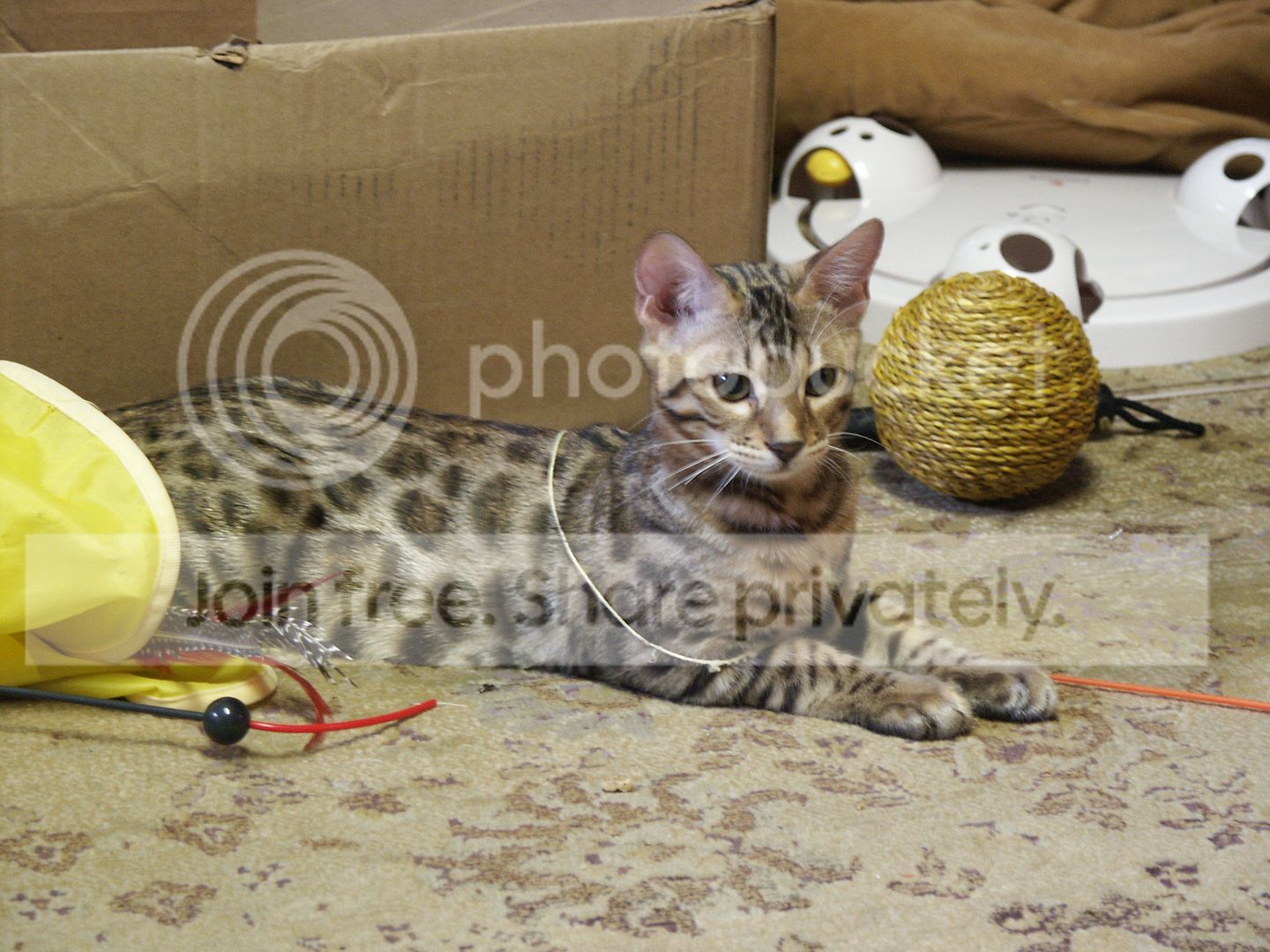 Fred07191301_zpsc44e714b.jpg