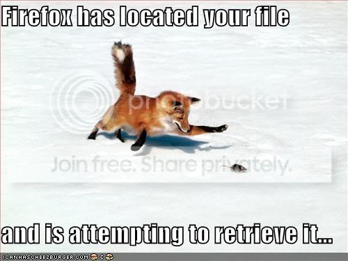 firefox1.jpg