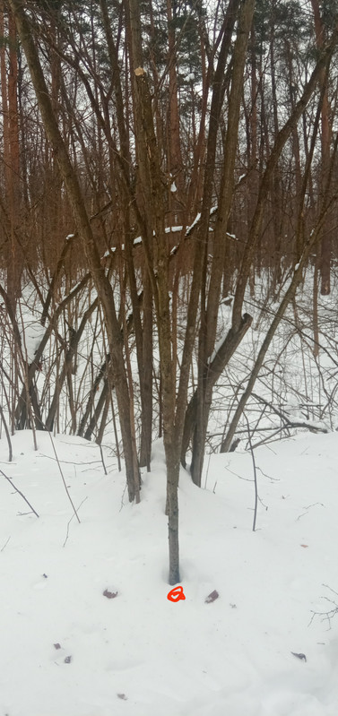 2012_11_06_246.jpg
