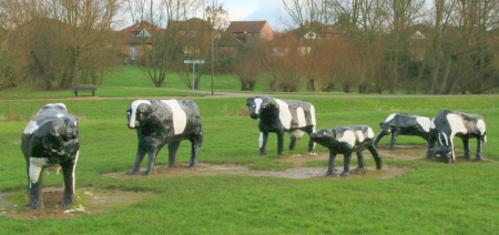cowsinfield.jpg