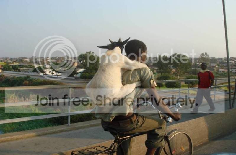Thediffe2MA28993280-0002.jpg